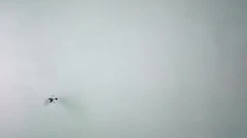 chispahot69 online show from 11.26.25