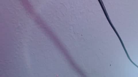 chloe_prg online show from 12.20.24