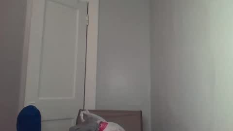 Snapshot of chocolatedolla chatting on 03.04.25 chocolatedolla online show from 03.04.25