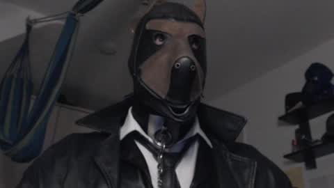 Snapshot of chrisdan_ chatting on 02.16.25 chrisdan_ online show from 02.16.25