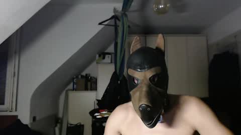 Snapshot of chrisdan_ chatting on 11.01.25 chrisdan_ online show from 11.01.25