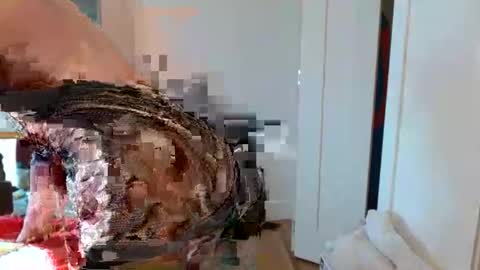 christophe_throbin online show from 01.31.26