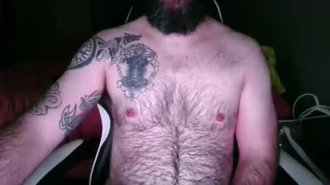 chub bear 99 online show from 05.26.26