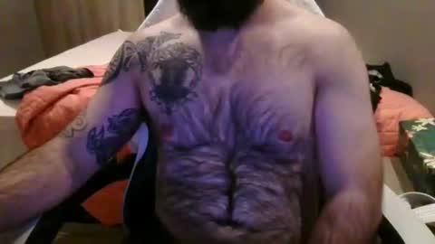 chub bear 99 online show from 06.04.26