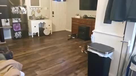 ChubbyHubby420 online show from 09.12.25