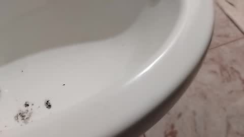 Snapshot of ciccilli chatting on 11.01.25 ciccilli online show from 11.01.25