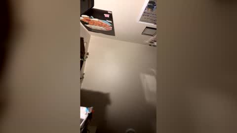 cinnamonbunniiii online show from 06.05.26
