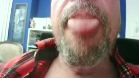 Circus Bear online show from 02.20.26