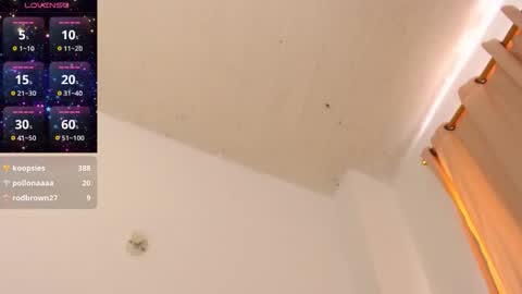 CLOE online show from 11.06.25