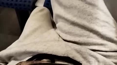 Cocolino  online show from 10.17.25