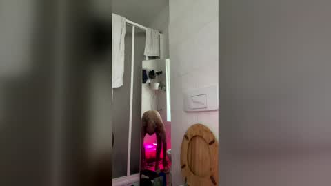 cockholder420 online show from 04.19.26