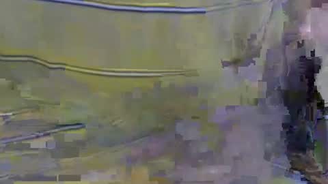 cockreadynow4u online show from 10.22.25