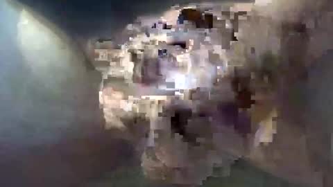 cocktoys online show from 10.30.25