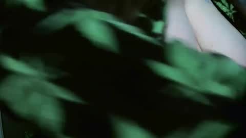 Snapshot of codieraye chatting on 12.29.24 TheGoddessCodie online show from 12.29.24