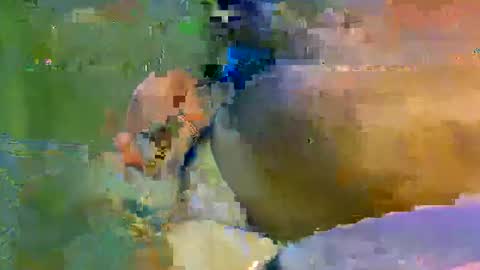 colourlight online show from 11.09.25