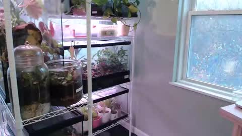 ANR Mommy online show from 11.09.25