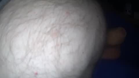 Harry 13 online show from 11.15.25