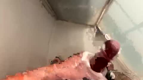 cookie_monster8593 online show from 04.20.26