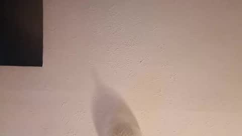 cooper_120805 online show from 09.23.25