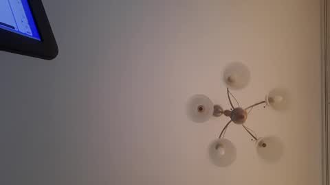 Corvus online show from 12.30.24