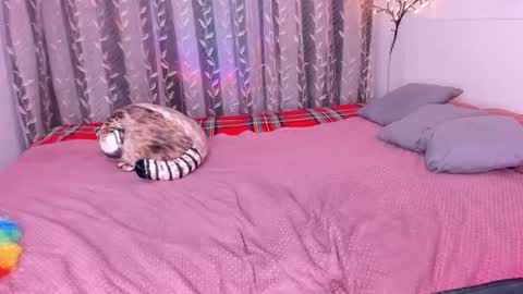 Alice online show from 03.01.25