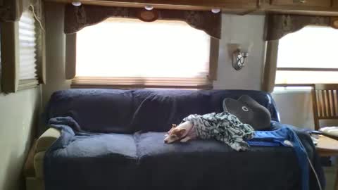 Chester  Melissa online show from 02.24.25