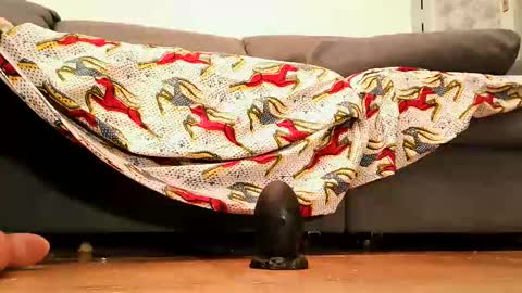 Snapshot of cossy69 chatting on 09.26.25 Andy sissy room online show from 09.26.25