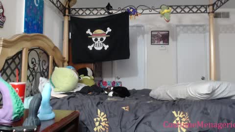 Snapshot of costumemenagerie chatting on 01.17.25 Amethyst Cox online show from 01.17.25