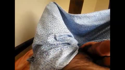 Snapshot of cowboy_tyler12 chatting on 10.01.25 cowboy_tyler12 online show from 10.01.25