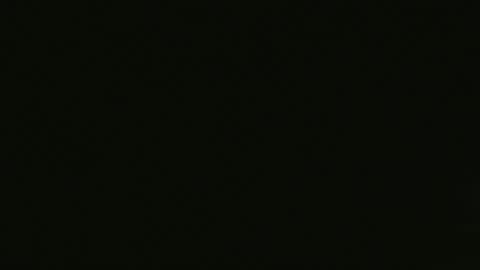 craigslistj online show from 04.20.26