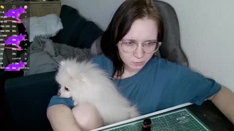 crash_test13 online show from 12.25.24