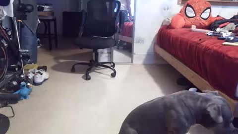 drbucknaked online show from 04.16.26