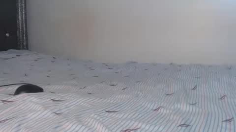 creamybabes0 online show from 01.06.26