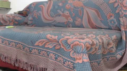 Frank and Nathy  online show from 04.17.26