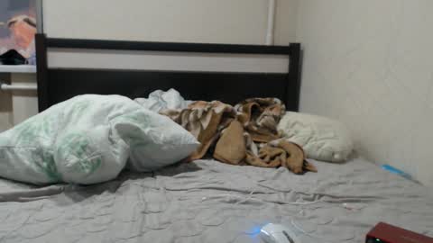 JOIN IN A FAN CLUB AND YOU WILL HAVE 90 OF MY PHOTOVIDEO    FREE FANSLY -  online show from 01.19.26