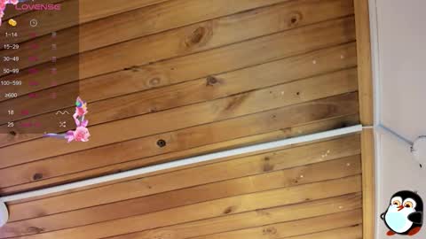 Snapshot of cristal__hot_1 chatting on 10.29.25 Cristal online show from 10.29.25