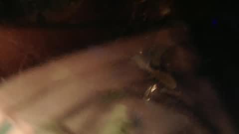 cryan96 online show from 02.02.25