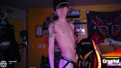 CryptidTwink online show from 02.19.26