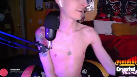 CryptidTwink online show from 04.03.26