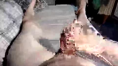 Snapshot of cuminher1975 chatting on 10.10.25 Paul online show from 10.10.25