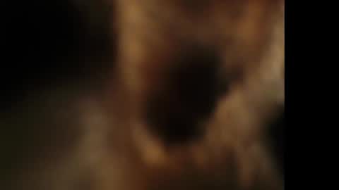 Giselle online show from 10.25.25