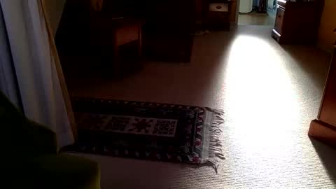 cumonherguys online show from 10.28.25