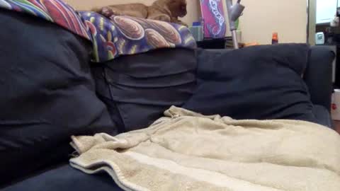 cumonover420 online show from 04.24.26