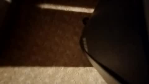 cumwith_me80 online show from 04.08.26