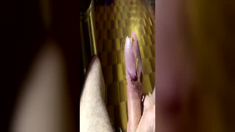 curicat69 online show from 06.21.26