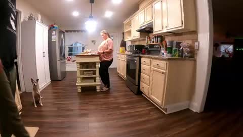 curious couple online show from 12.30.24