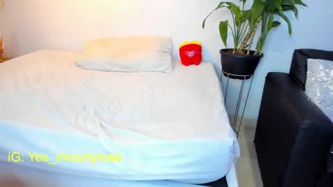 Rose online show from 01.30.25