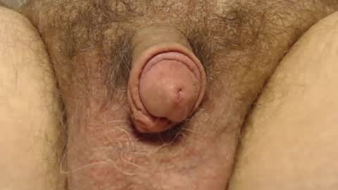 curve66 online show from 02.06.25