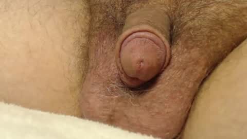 curve66 online show from 10.22.25