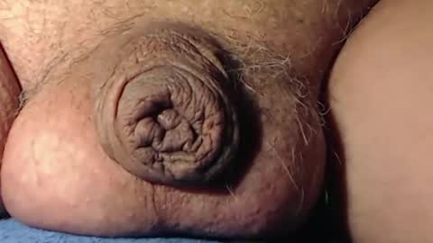 cute_stud2855 online show from 01.15.26